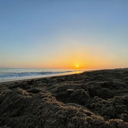 Marlen Κρέστενα